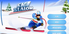 Ski Slalom